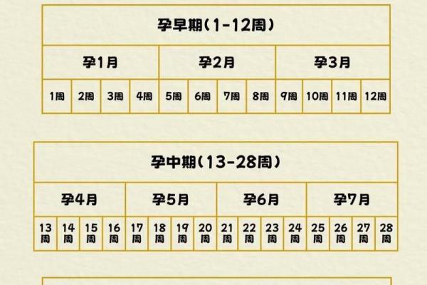 紫薇斗数算怀孕时间