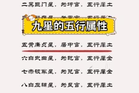 九星命理算命视频