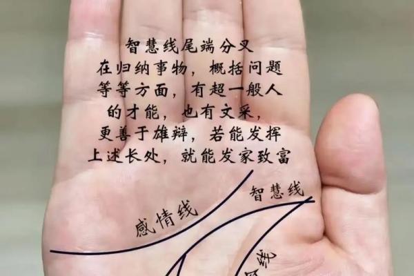 一掌经算命最准的方法 一掌经算命最准的方法