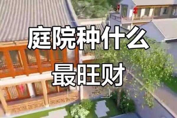 房子周围栽树风水