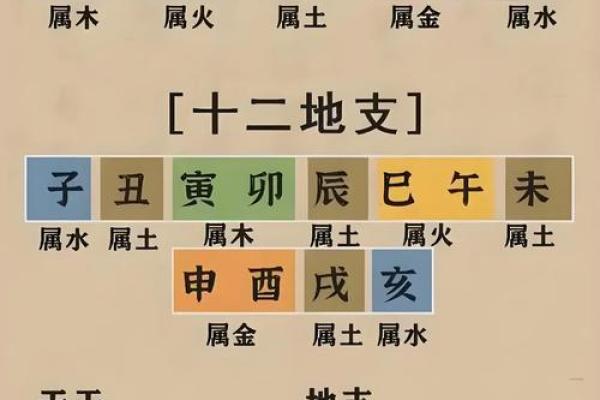 八字阳干和阴干怎么看