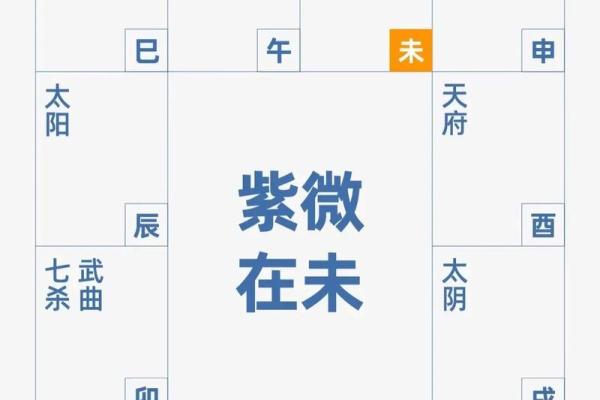 紫薇斗数排盘步骤