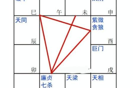 《紫微斗数》：廉贞.天相在财帛宫