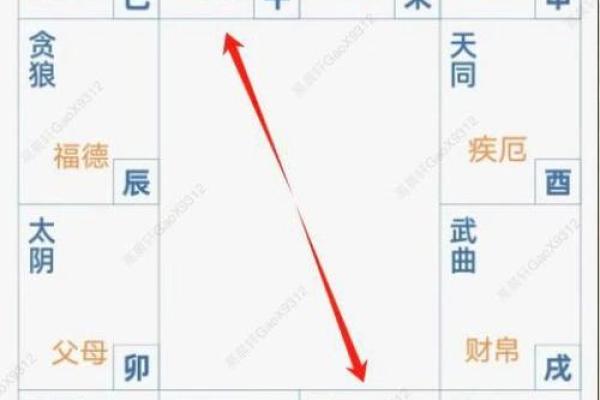 夫之子紫薇斗数 夫之子紫薇斗数