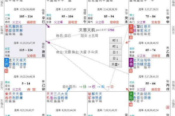 夫之子紫薇斗数 夫之子紫薇斗数