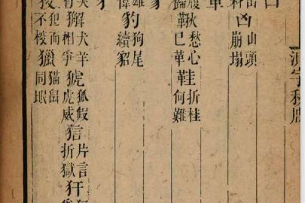 算命测字看什么书好