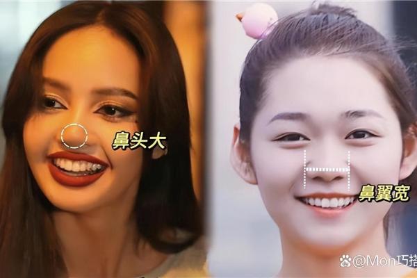 为什么说大鼻子女人不能要风水观点