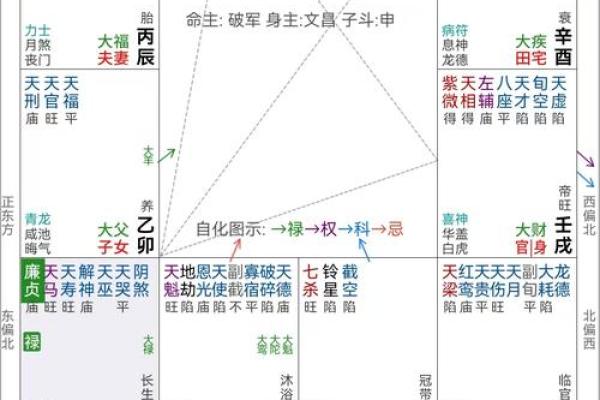 紫薇斗数看事业情况
