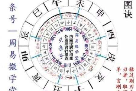 夫妻结婚10年没有孩子，算命先生说：你们命中无子，只有一个办法