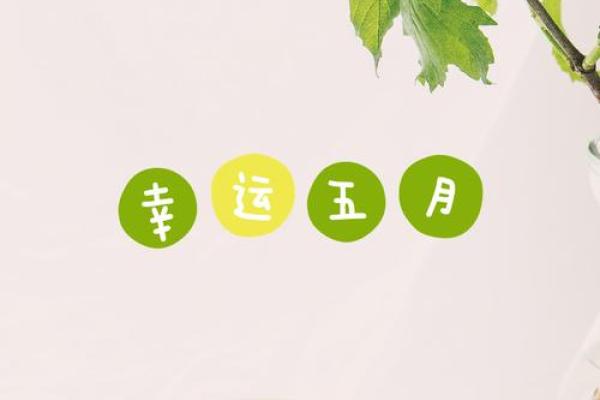 【塔罗运势测试】四月你会有什么好运？做好自己能做的事吧！