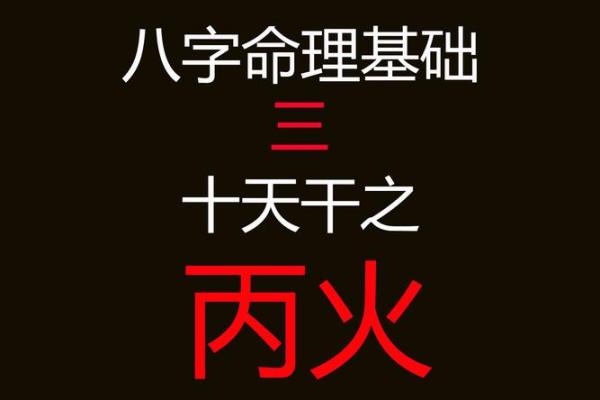 丙子日八字 丙子日八字