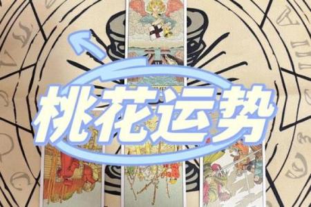 塔罗测试：九月健康运？