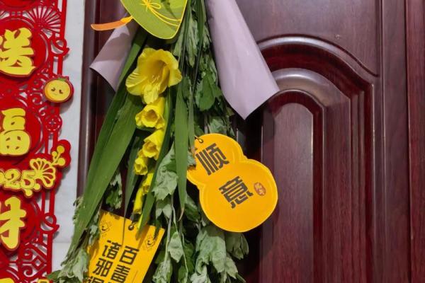 风水端午艾草挂艾草在门口寓意