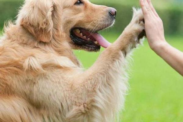 为什么单身？风水：原来是这样