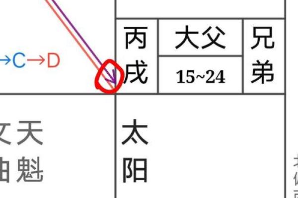 紫微斗数夫妻宫太阴星脸型