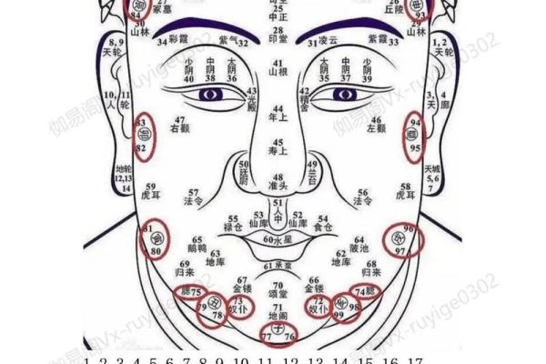 26种面型算命图解
