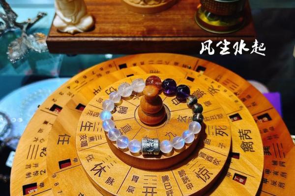 鸟儿算命图片大全