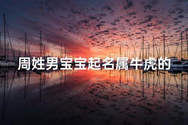 周易算命属牛虎