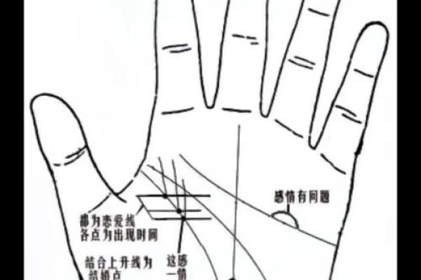 掌纹算命图解 通过手相看智慧