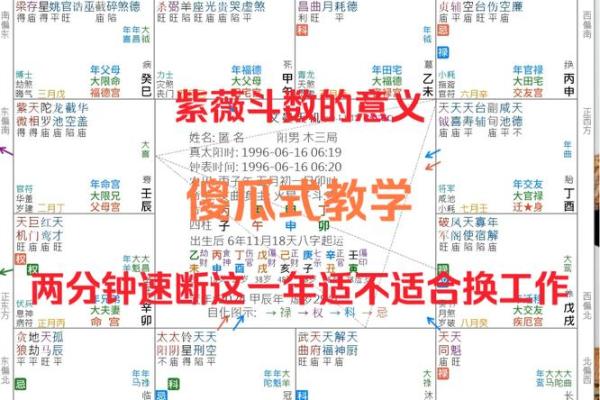 简单看紫薇斗数