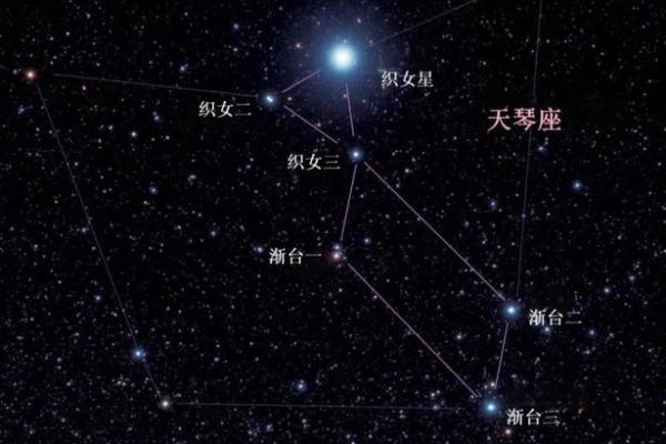 夫妻紫薇天府星