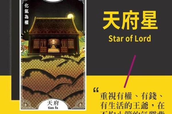 夫妻紫薇天府星