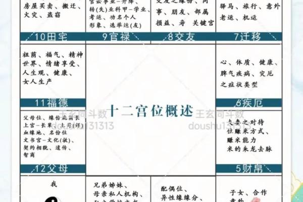 紫微斗数容易还是八字容易 紫微斗数比八字准? 紫微斗数容易还是八字容易 紫微斗数比八字准?