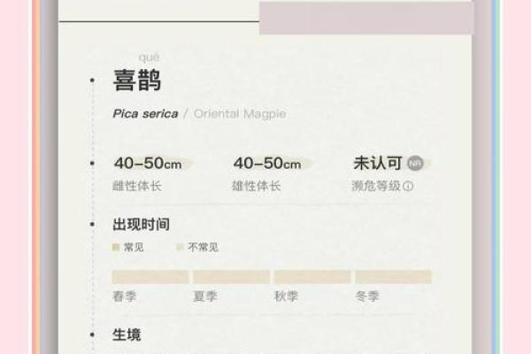 看到喜鹊为什么不吉利风水观点 看到喜鹊为什么不吉利风水观点