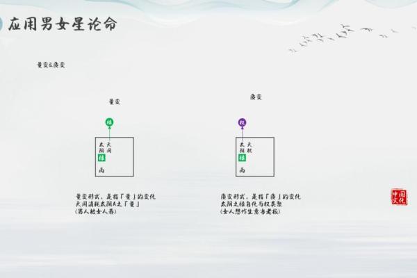 紫薇斗数查命星