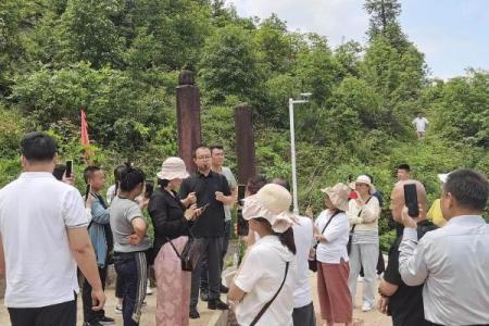 风水宝地下葬异象