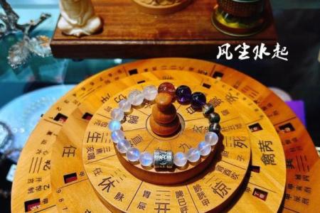 鸟儿算命图片大全