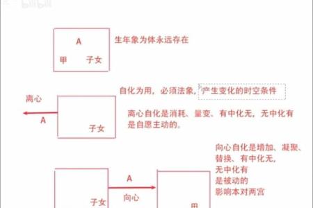 紫薇斗数离心权