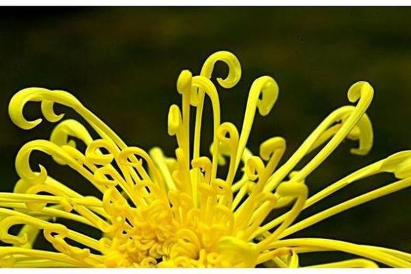 关公灵签第3签问姻缘