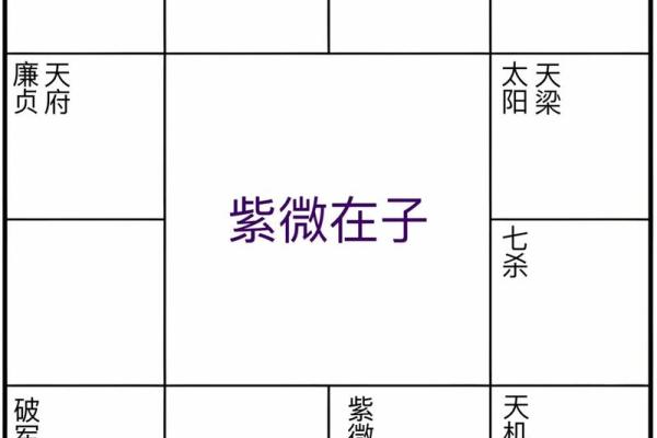 紫薇斗数财帛6 紫薇斗数财帛6