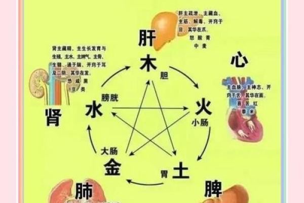 关于风水与健康,需知道的知识 关于风水与健康,需知道的知识