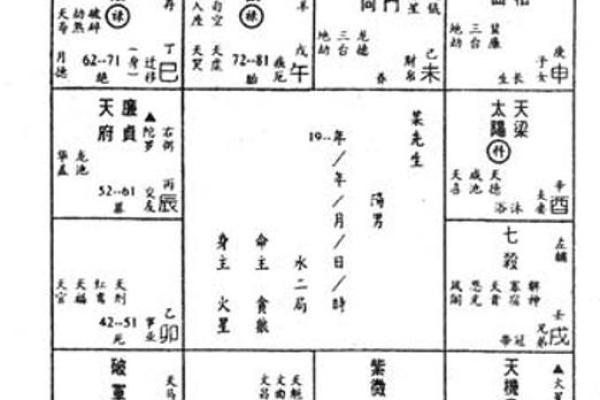 中州紫薇斗数流月 中州紫薇斗数流月