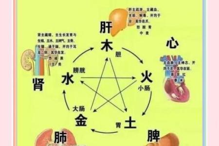 关于风水与健康，需知道的知识