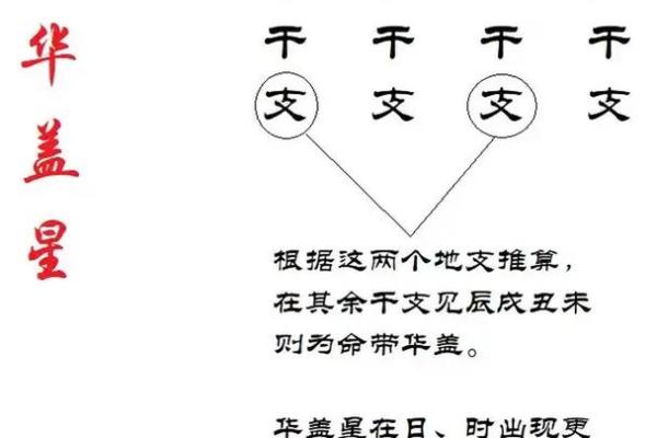 八字华盖查询免费在线,快速准确的八字命盘解析 八字华盖查询免费在线,快速准确的八字命盘解析