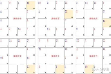 【紫微斗数】排盘技巧047： 紫微斗数在法律领域的应用