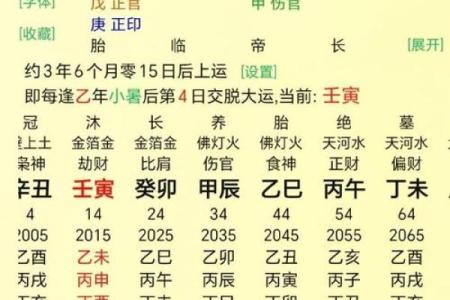 八字旺是什么意思