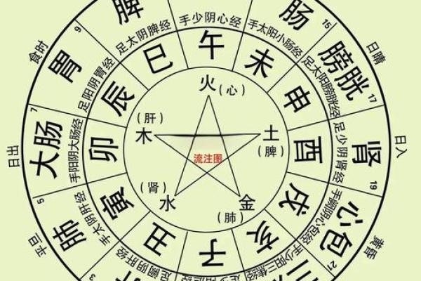 紫薇命盘疾厄宫廉贞天相 紫薇命盘疾厄宫廉贞天相