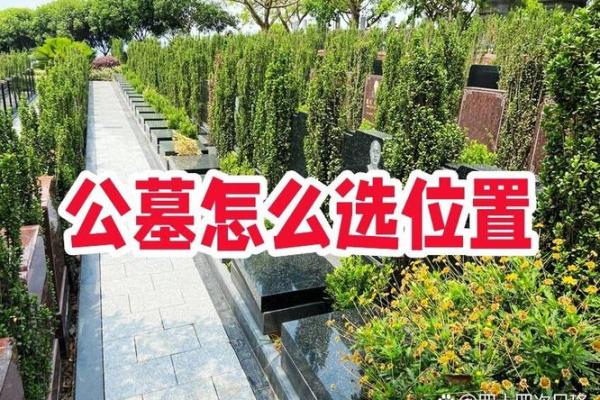 墓园风水如何选择? 墓园风水如何选择?