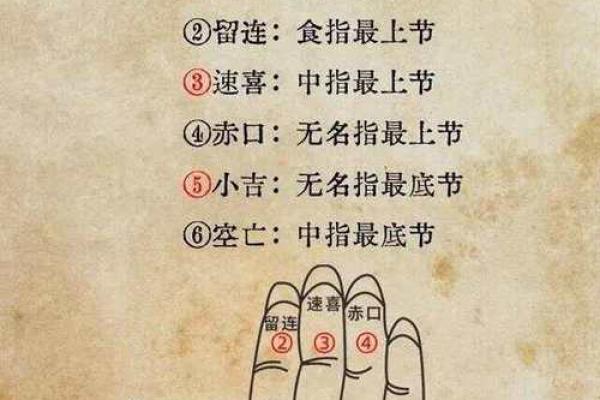 怎么算命用手就行