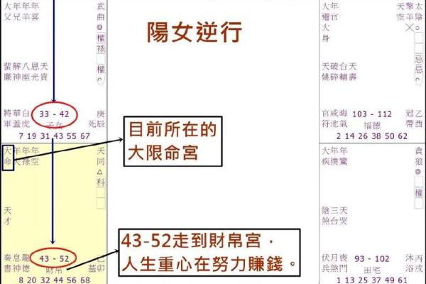 紫薇斗数怎么看未来妻子 紫薇斗数怎么看未来妻子