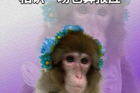 能遇见也是种缘分测试 能遇见也算一种缘分？