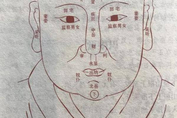 面相算命图解十二宫之：财帛宫