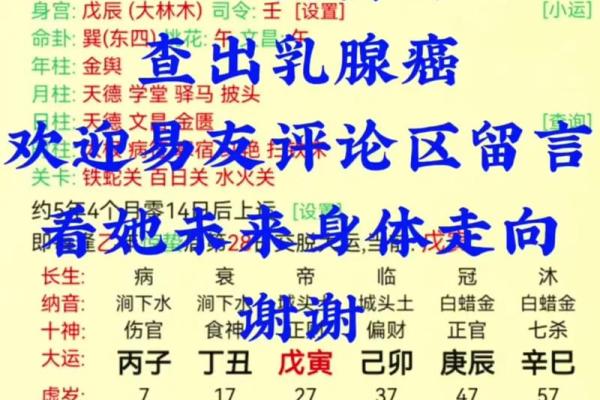 乙木性格特点详解，八字分析师为你解读！