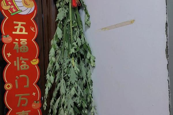 艾叶干了还能挂门上吗还有风水效果吗 艾叶干了还能挂门上吗还有风水效果吗