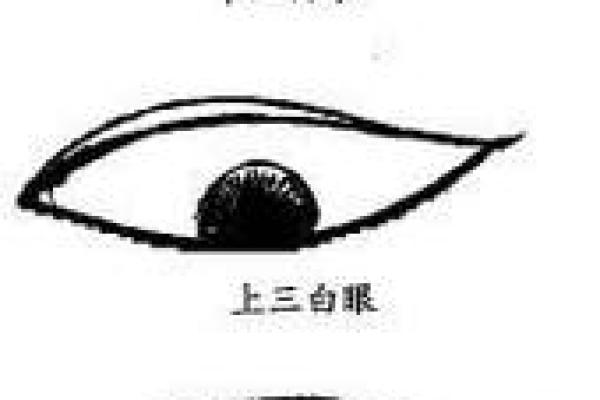眼皮看面相算命