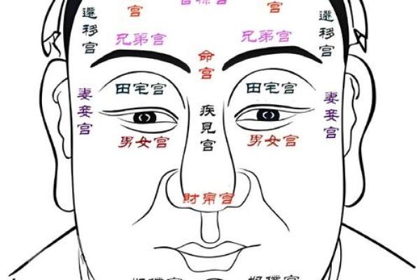 额头长胎记算命一生